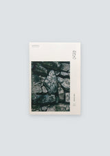 TOKION ISSUE 1 OBSERVE(SHOHEI OTOMO × Gucci)